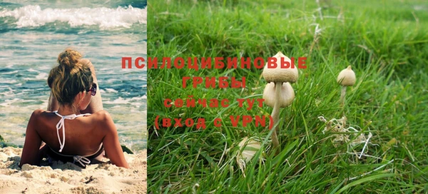 jwh Аркадак