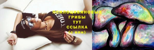 прущая мука Армянск