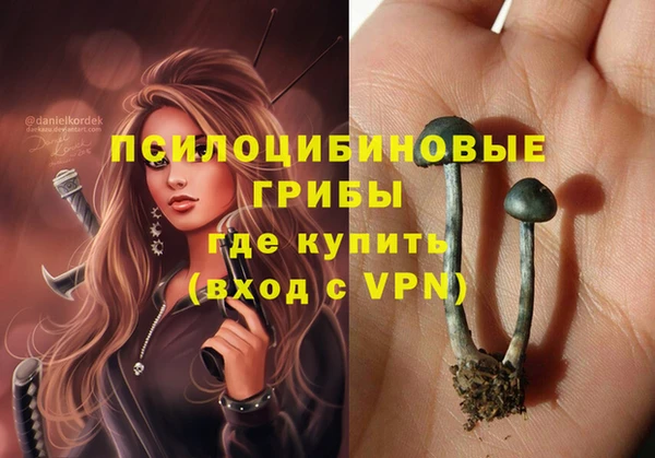 jwh Аркадак