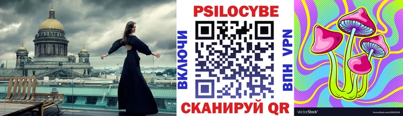 Псилоцибиновые грибы Psilocybe  Югорск 